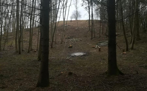 Rkanti6ki7 piliakalnis.jpg